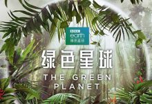 BBC儿童必看纪录片系列 绿色星球等5部 抖音热门 百度网盘下载-木豆记录网