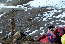 3~6岁儿童必看纪录片奇趣动植物系列 12部 百度网盘下载-木豆记录网