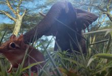 BBC儿童必看纪录片动物植物系列 隐秘王国等12部 豆瓣高分 百度网盘下载-木豆记录网