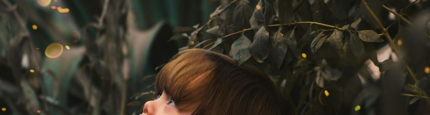 木豆记录网免费分享儿童必看纪录片下载，海量精选少儿儿童纪录片均免费在线观看，是专业的儿童纪录片下载库网站大全。