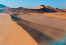 小小世界等30部奇趣动植物系列儿童必看纪录片 百度网盘下载-木豆记录网