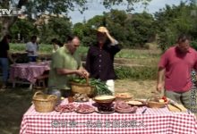 3~6岁儿童必看纪录片中外人文历史系列 7部 百度网盘下载-木豆记录网