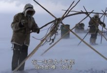 BBC儿童必看纪录片地球探索系列 冰冻星球等14部 豆瓣高分 百度网盘下载-木豆记录网